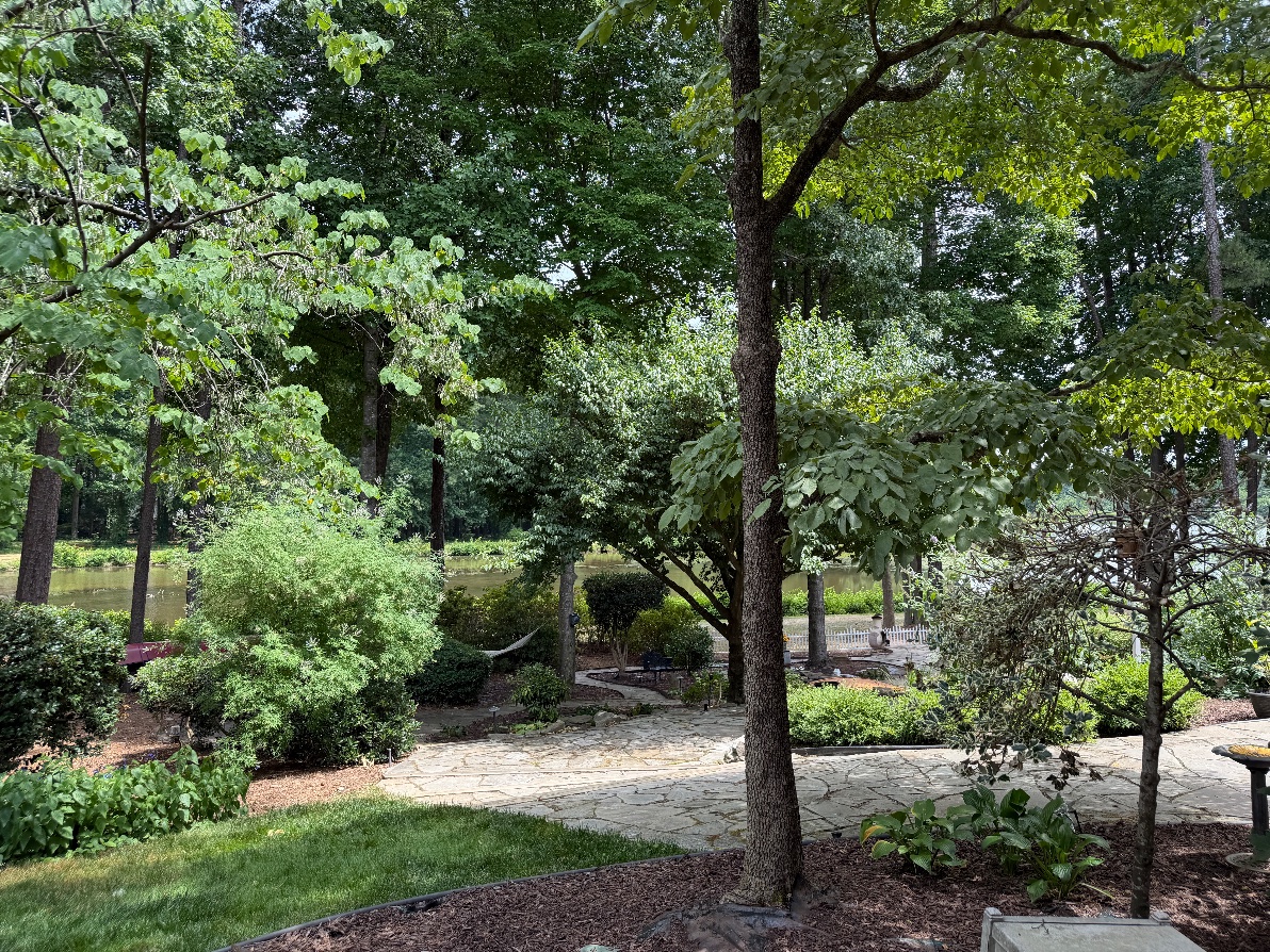 Flagstone garden path winding through trees and lush plantings toward the lake at the Raleigh lake retreat