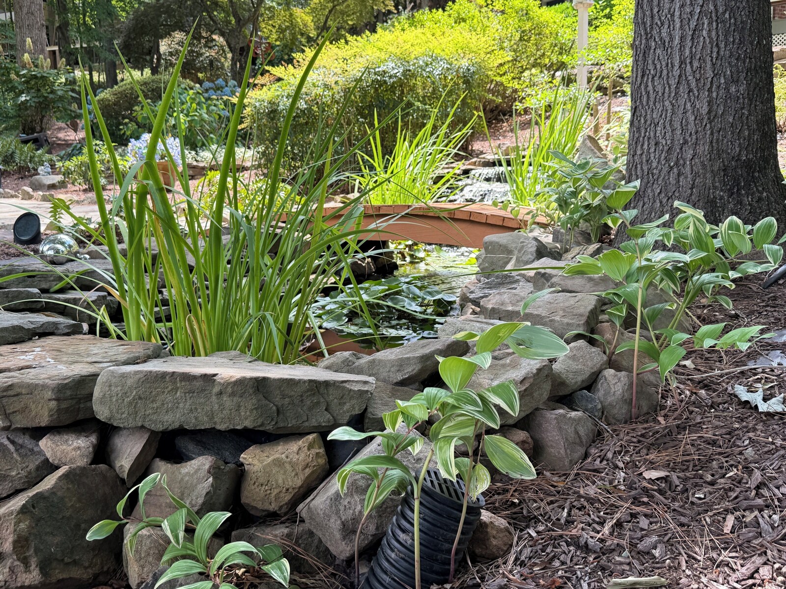 Rock-edged garden pond with lush green plantings and a small bridge at the Raleigh lake retreat